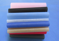 仁和涤纶（PET）无纺布是什么